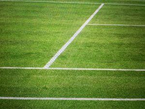 Picture of a grass tennis court